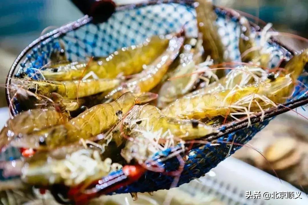 顺义区年货节日福利,顺义区年货节日福利值得购买吗