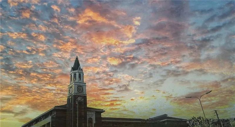 揭秘丨会玩，更会学！位于城北的这所七系学校，你了解多少？