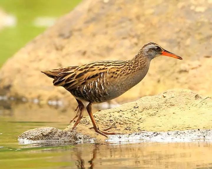 那些属于80后的美好童年记忆,那些属于90后的童年记忆