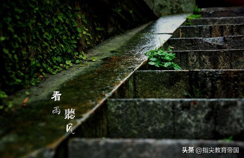 三年级语文第七单元易错点,三年级语文重点易错归纳总结练习