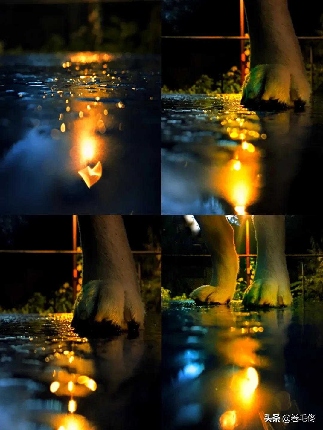 手机拍大片人像,如何拍手机照片最好看