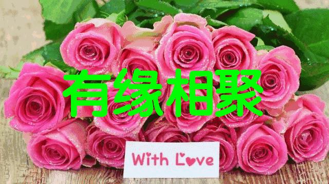 六一照片姿势单人,六一集会照片