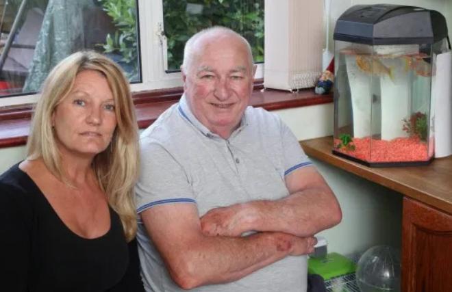 怎么养金鱼金鱼才不会死,正常情况下金鱼可以养多久