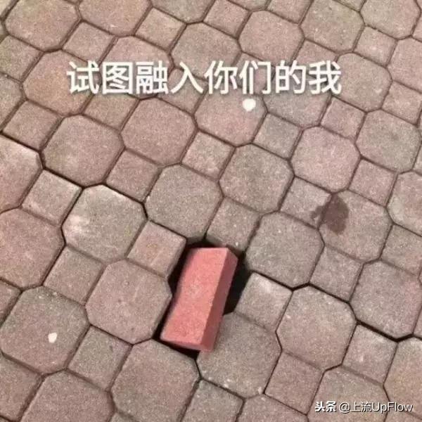 00后的聊天暗语90后都看不懂,00后黑话指南90后看完扎心了