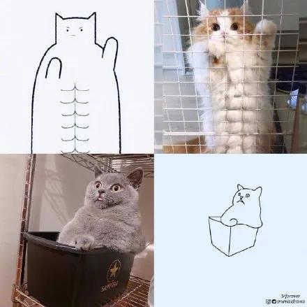 一波可爱动物简笔画,超火的简笔画动图