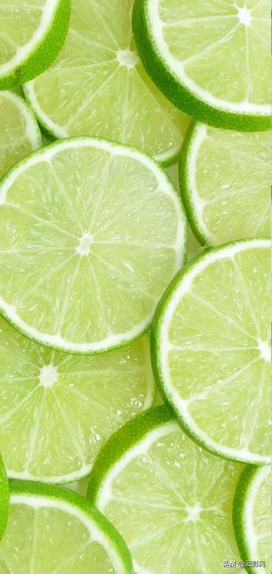 手机壁纸+gv接码平台