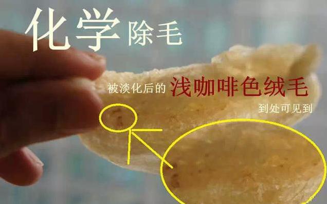 燕窝真假鉴别最简单方法,燕窝鉴别方法怎样辨别优质燕窝