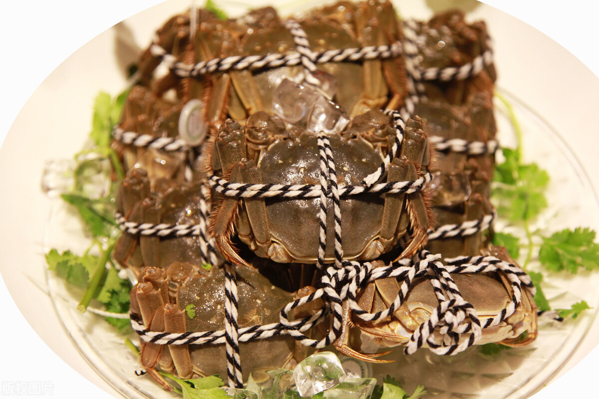 死螃蟹的正确食用方法,死螃蟹为什么不能吃呢