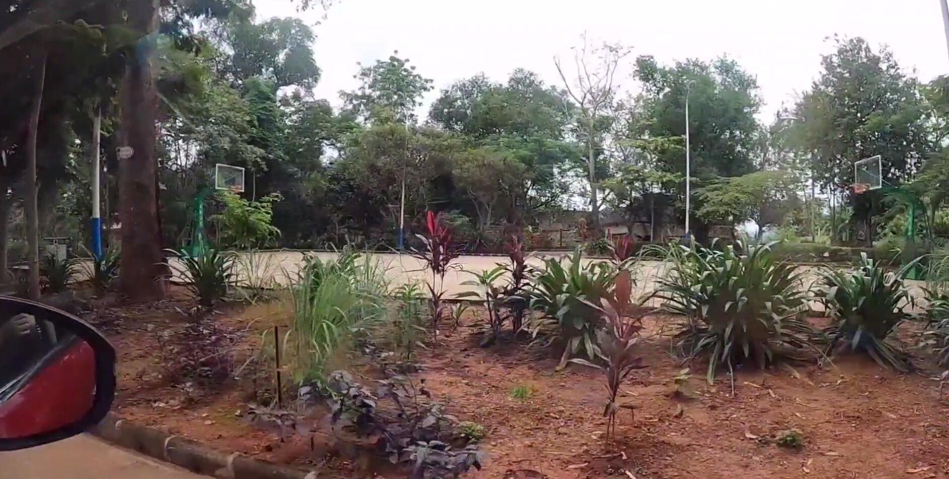 西双版纳热带雨林导游,西双版纳热带雨林谷导游