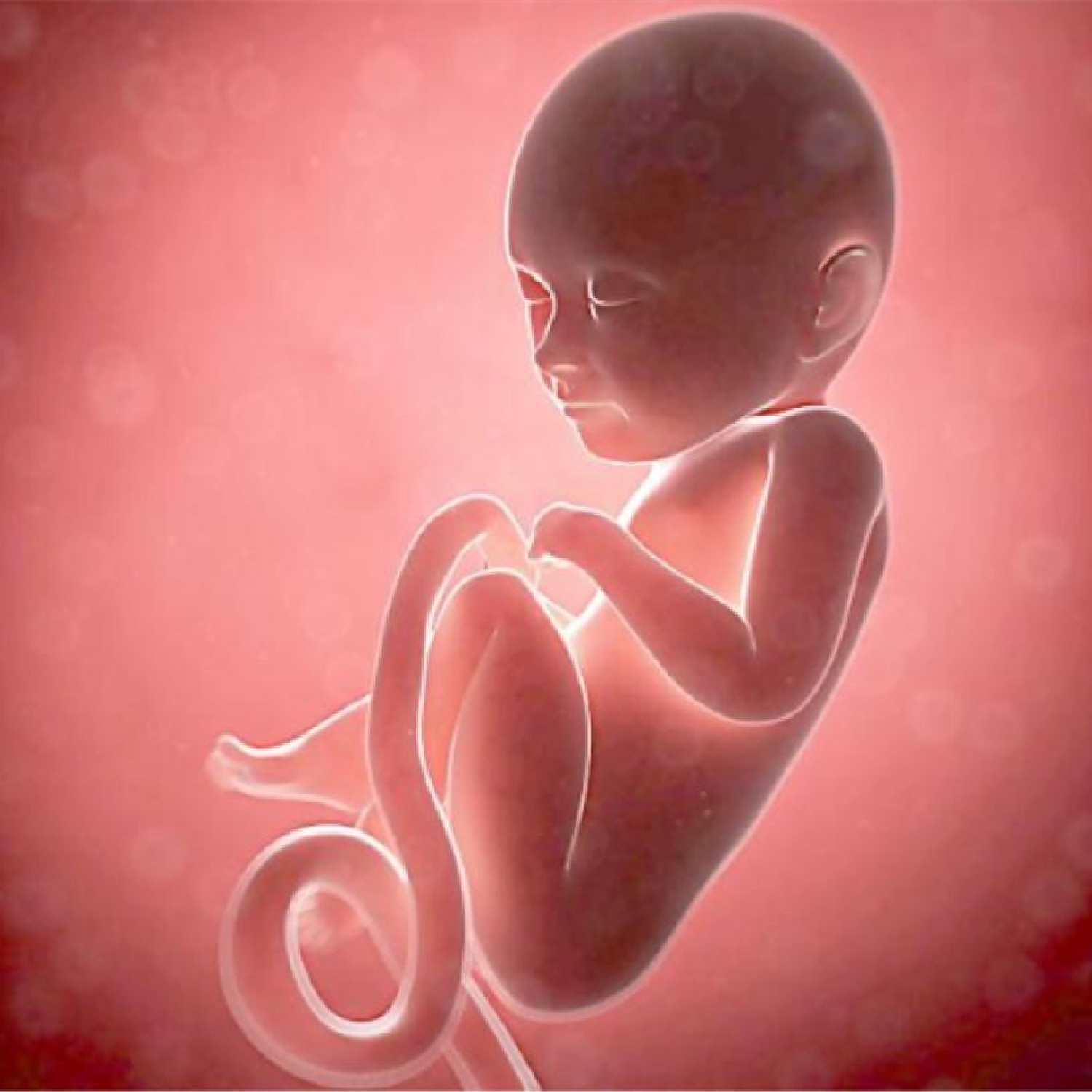 孕晚期左侧躺胎儿在盆骨边踢,孕晚期胎儿老是踢右腹部