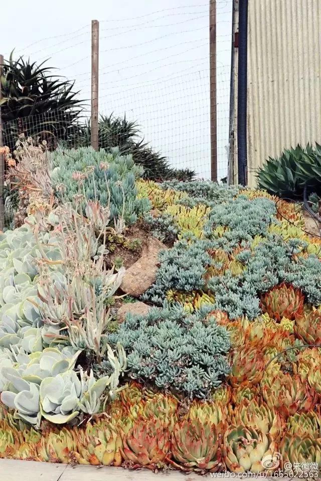 10大赚钱副业摆地摊卖什么最赚钱,做一个摆地摊的姑娘该如何入手