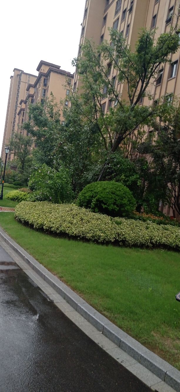 医学小常识一一胸痛咋会事？