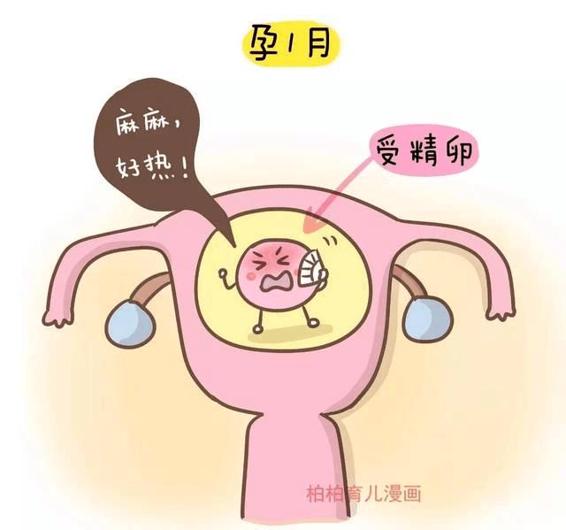 胎儿最害怕“十件事”，会影响胎儿发育，孕妇要尽量避免