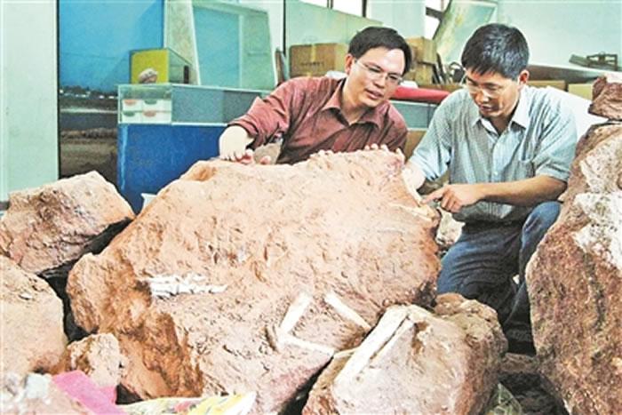 中国的最强恐龙是什么恐龙,中国已发掘的最大恐龙叫什么恐龙