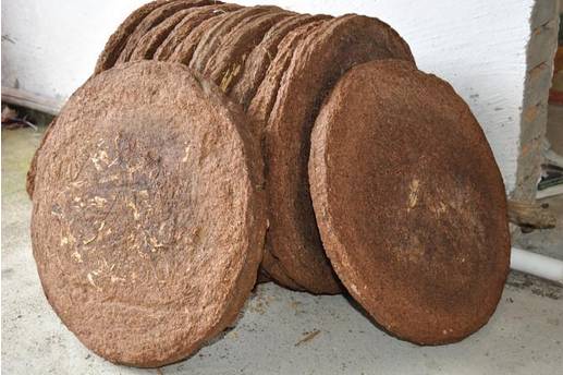 南美白对虾高致病性弧菌怎么清塘,南美白对虾感染肝肠孢虫如何清塘