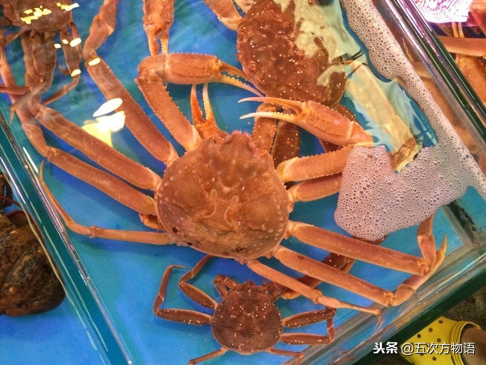 海鲜市场都有什么海蟹品种,青岛市场帝王蟹种类