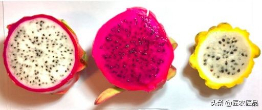 你不知道火龙果的小知识,火龙果的秘密揭秘