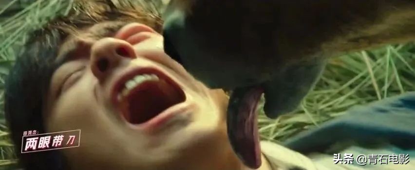 一点就到家电影评价,一点就到家是真实改编的吗