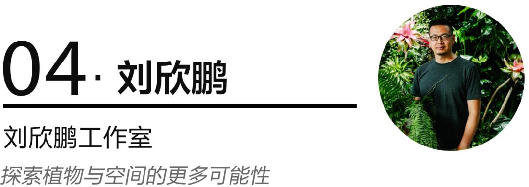 老实说，哥哥们爱起花草来，更疯狂