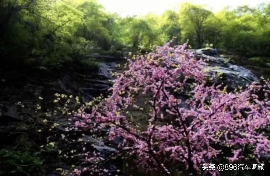 西安新增旅游景点最新消息,西安免费景区开放的最新通告