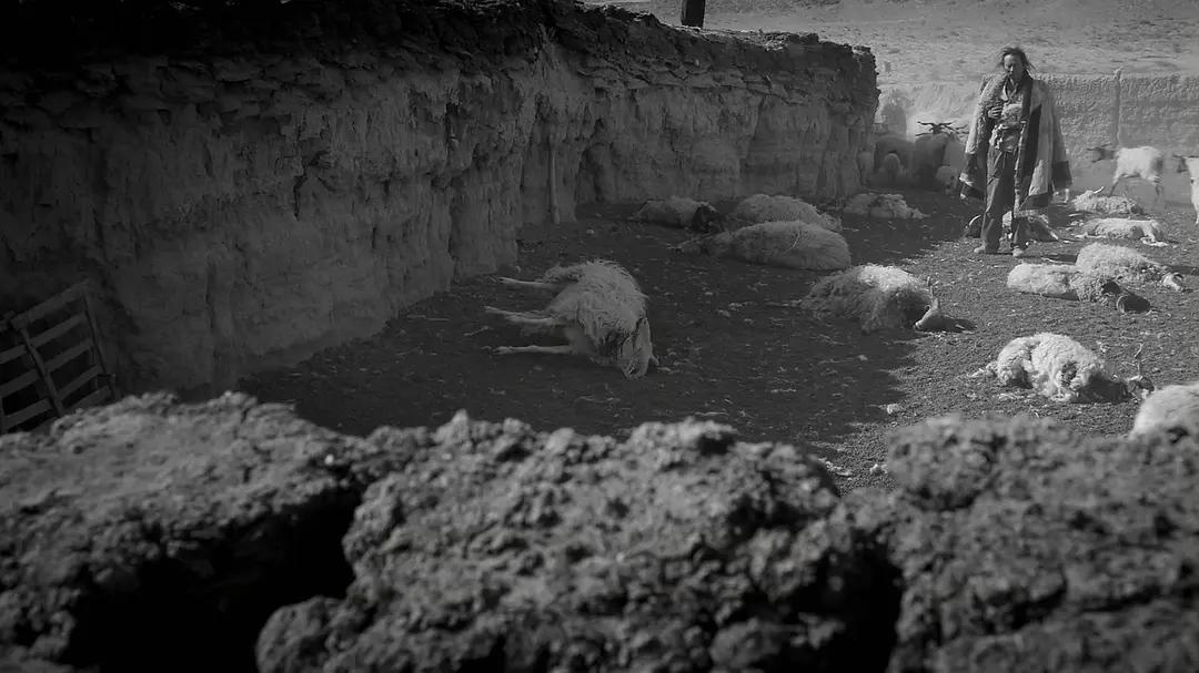 40岁牧羊人被发廊妹骗去16万心血钱，这电影后劲太大