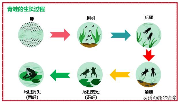 思维导图流程图有什么用,思维导图流程图制作方法