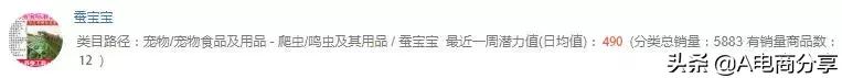 拼多多运营爆款如何打造,拼多多运营爆款教程