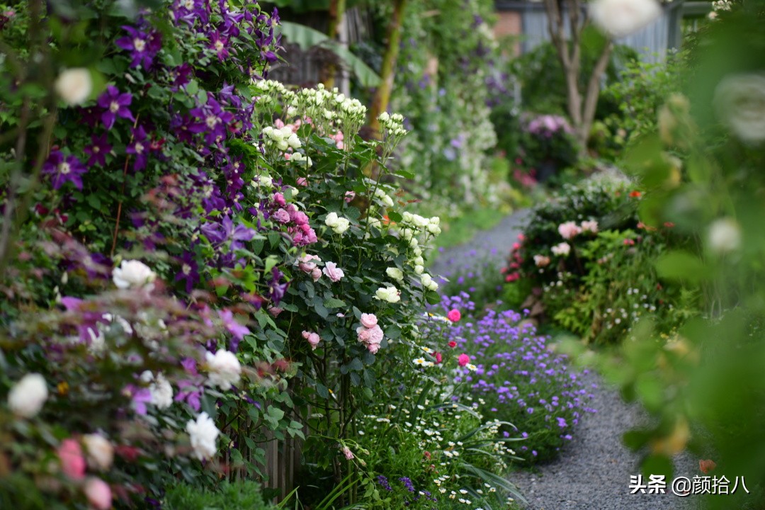 愿时光静止,愿时光静止在这一刻