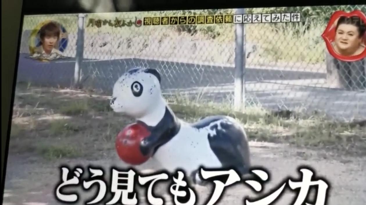 桥本环奈坂口健太郎,桥本环奈工具