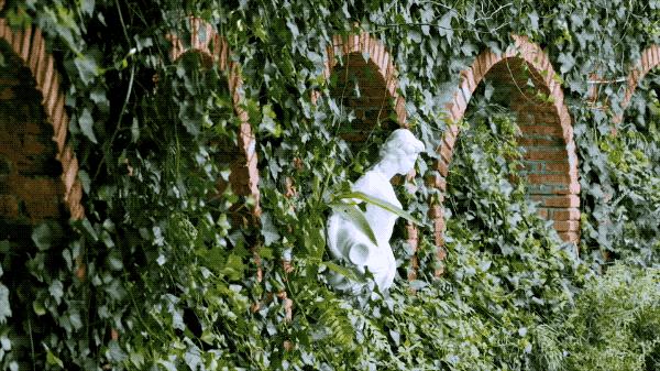 一个安徽爷爷，花1万块种出5000㎡私家花园，被评为中国最美