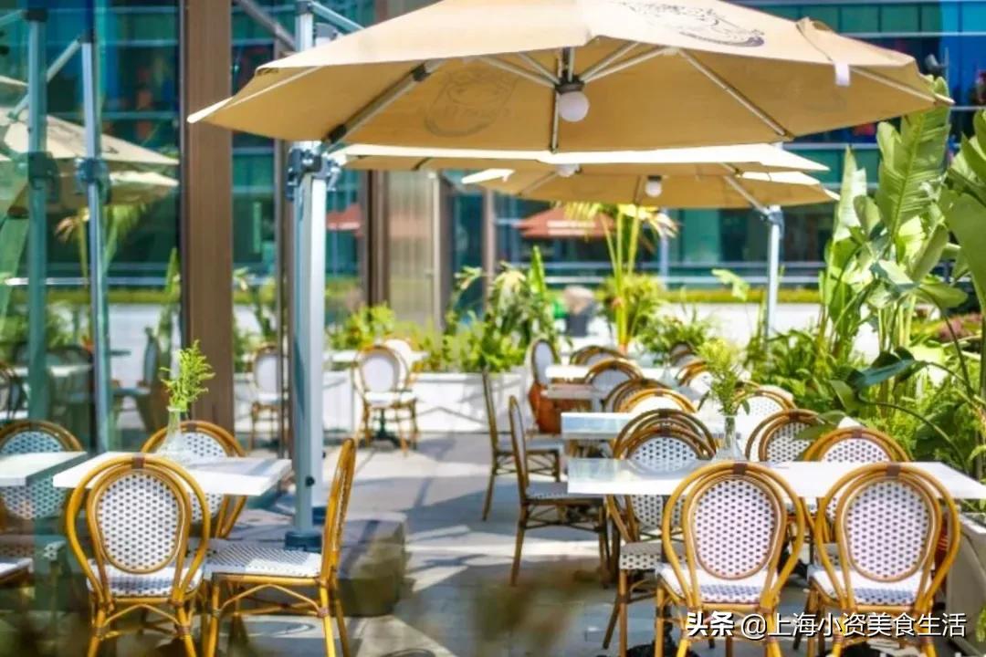 魔都5家绝美阳台,魔都老洋房在梧桐树下