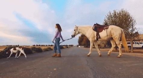 14岁卖画赚到4600万,16岁怎么靠画画赚钱