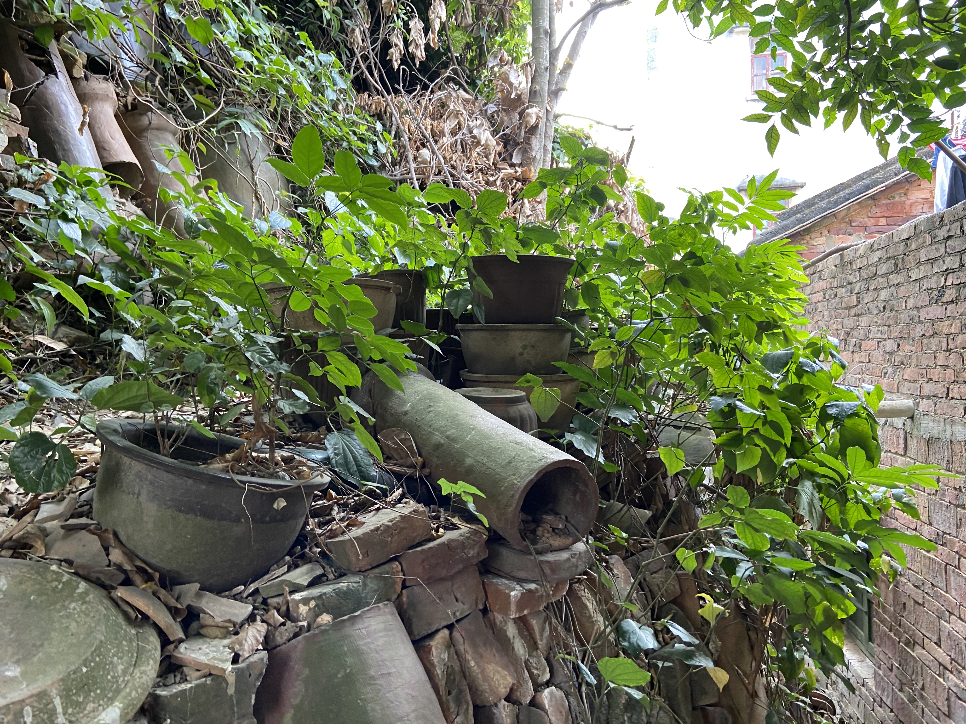 千年古窑陶瓷村,广东省吴川市千年陶村