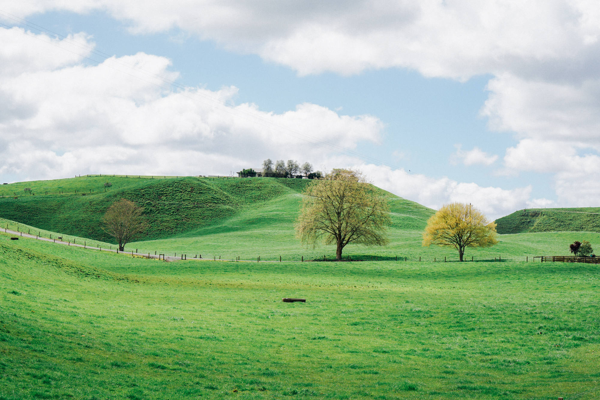 新西兰北岛值得去的地方,新西兰北岛哪里值得去