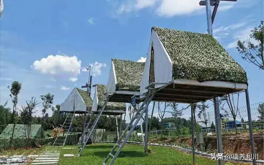 沙市到利川旅游攻略,利川旅游住宿攻略大全最新