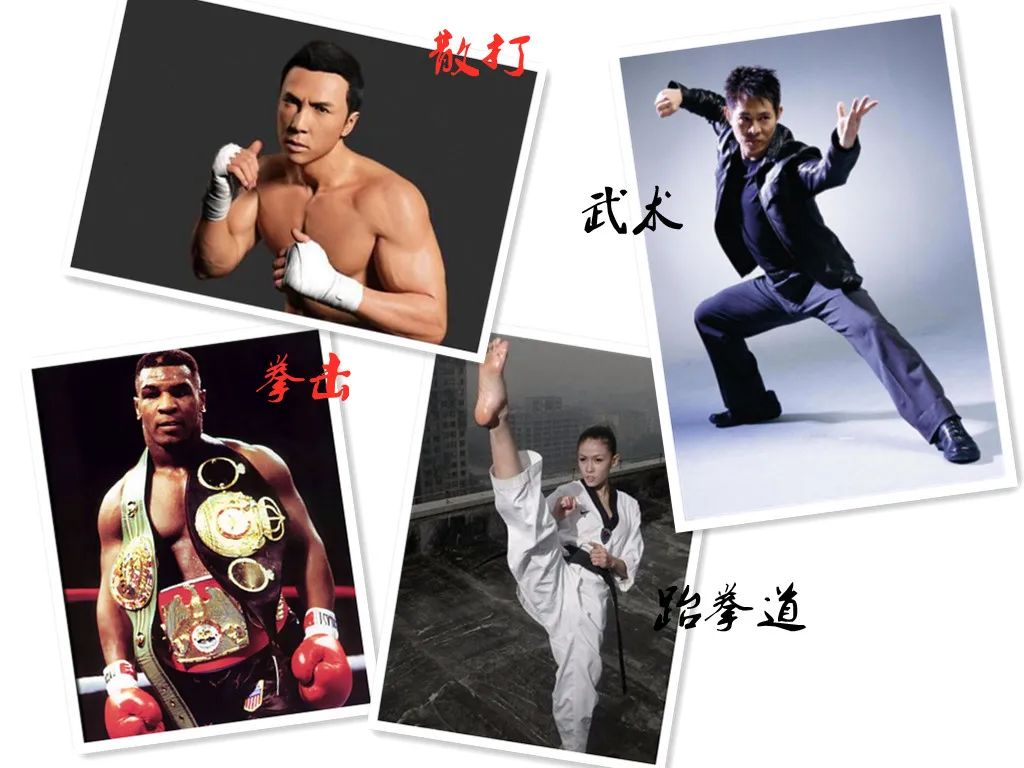 散打搏击跆拳道截拳道有什么区别,搏击散打跆拳道哪个适合6岁小孩