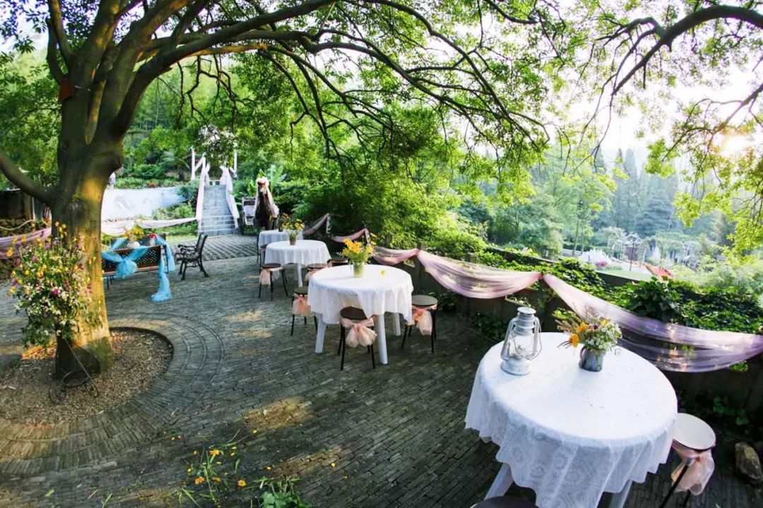 一个安徽爷爷，花1万块种出5000㎡私家花园，被评为中国最美