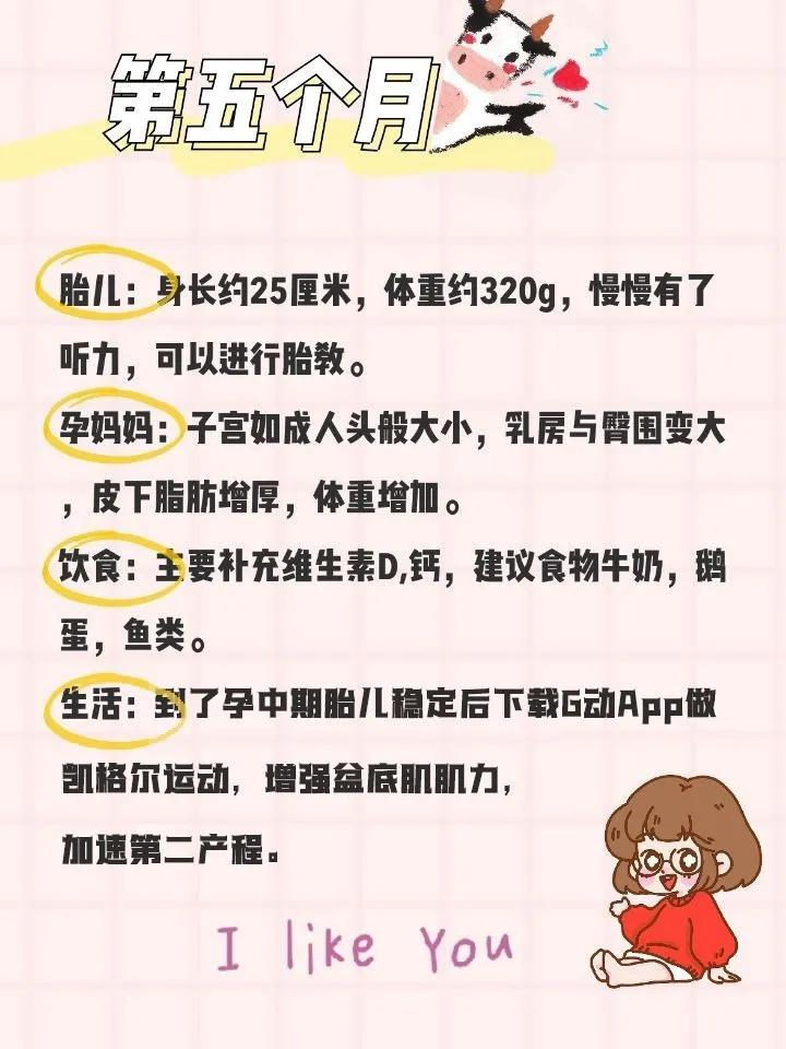 孕期注意事项视频教程,孕期注意事项及禁忌的app