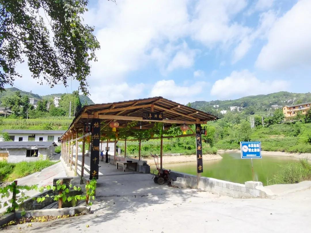 桐梓环境好的地方,桐梓森林氧吧