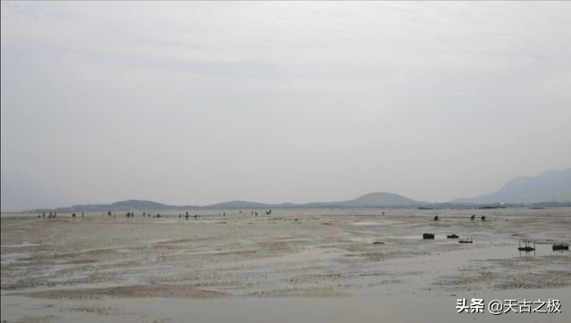 青岛赶海旅游攻略必去景点,青岛哪里有好玩的沙滩能赶海