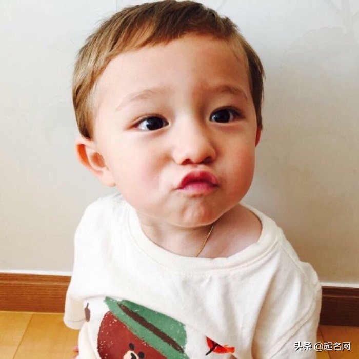 最凶猛又聪明护主的犬起名,那些治愈人的小狗