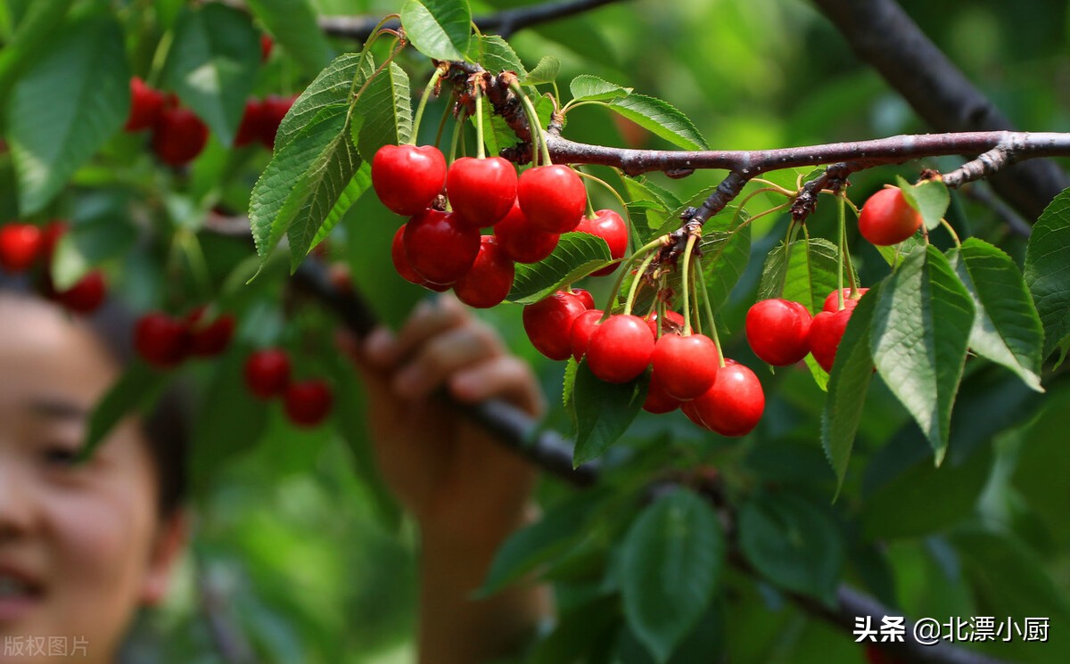 适合四五月份吃的应季水果,推荐这九种当季水果千万别错过
