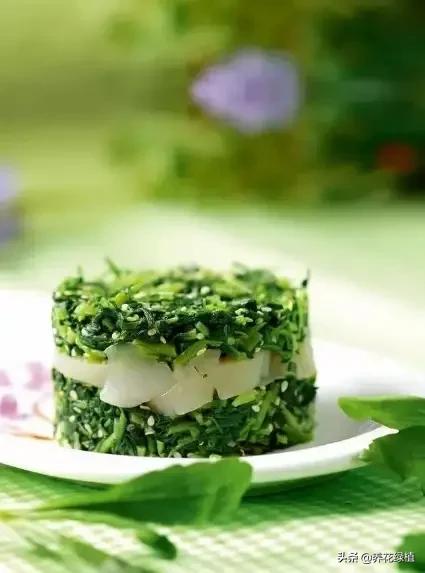 动画二十四节气春分,二十四节气春分解释