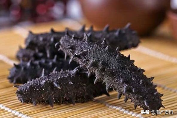 加拿大海参开袋即食,加拿大海参专卖店