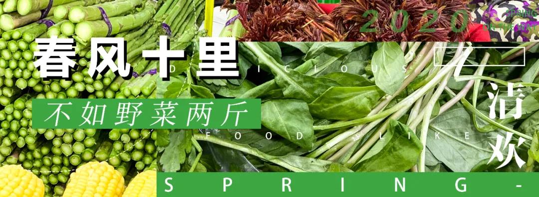 南京城市野菜猎人实录