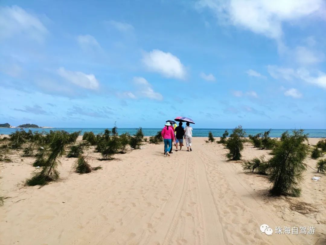 大山峰水牛坪露营记,东岸岭露营徒步