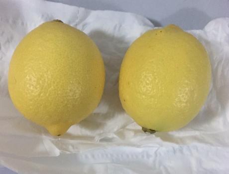 美味的蜂蜜柠檬茶,冰镇蜂蜜柠檬茶教程