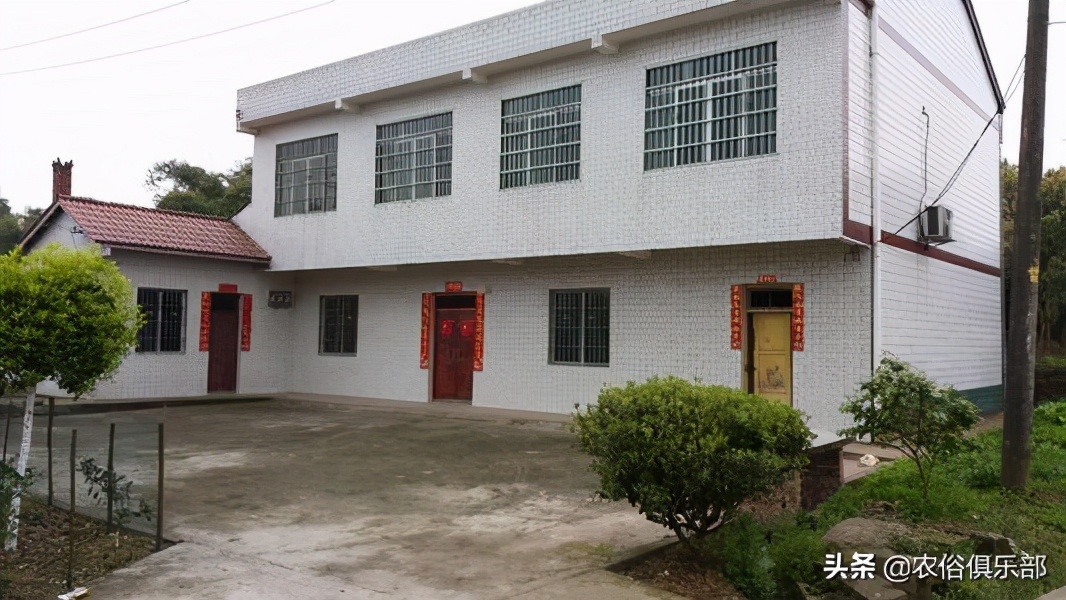 吞了烟袋油的蛇，离死不远！农村人的防蛇妙招，烟油还能解百虫？