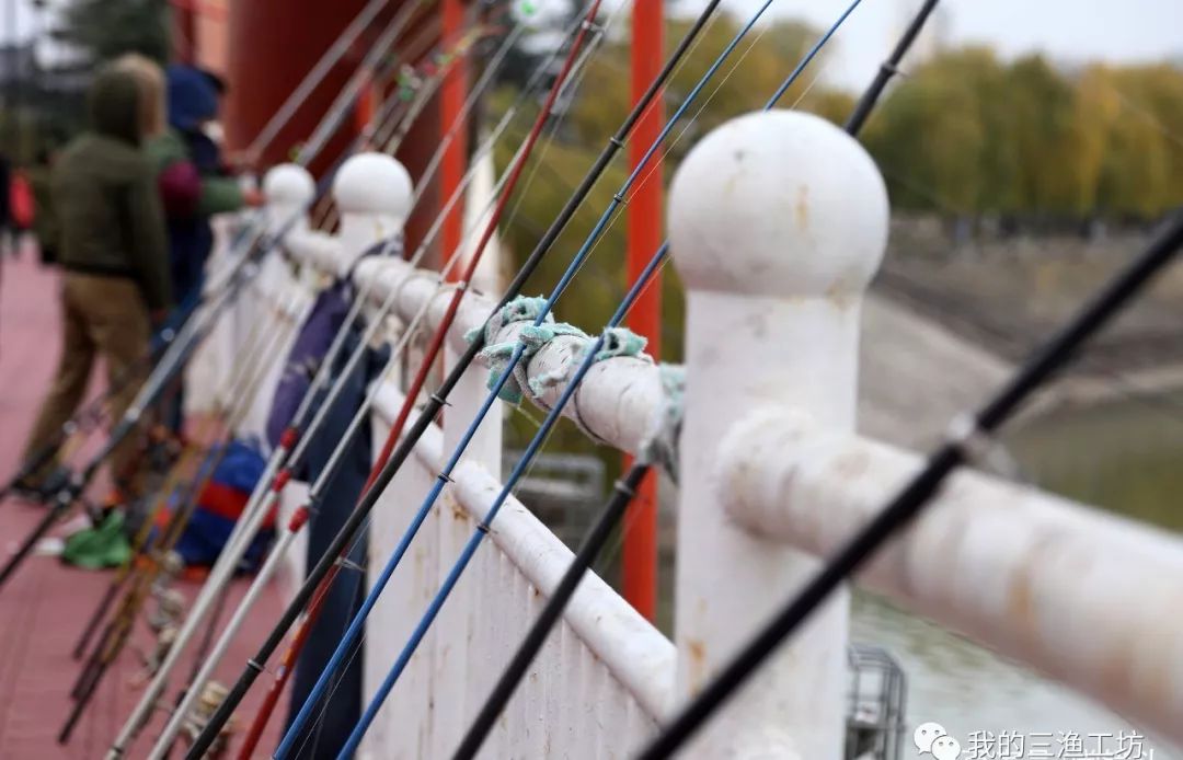 选好鱼竿，轻松享用垂钓好时光