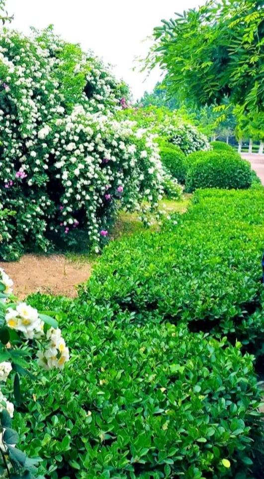 含有古诗词的自我介绍,古诗词自我介绍8字以内